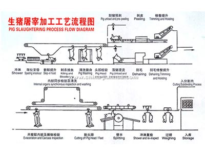 生猪拼搏在线登录工艺示意图